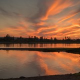 LEO_7485