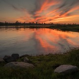 LEO_7489