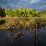 EIV2018_20180610190723