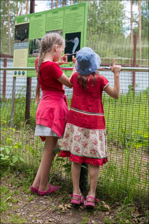 EIV2018_20180616113352.jpg