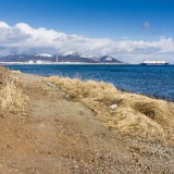 DSC00952