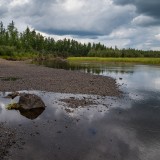 LEO_0698