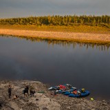 LEO_0982