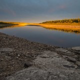 LEO_0987