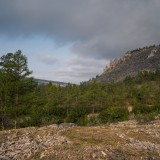 LEO_1224