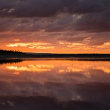 LEO_1407