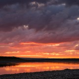 LEO_1420