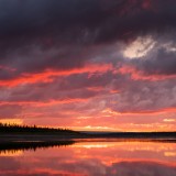 LEO_1434