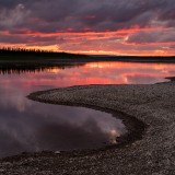 LEO_1437