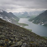 LEO_4692