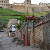 LEO_3319