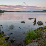 LEO_9781