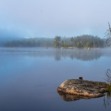 LEO_9804