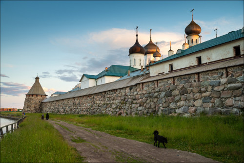 LEO_9606_1.jpg