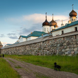 LEO_9606_1