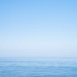 LEO_9666_1