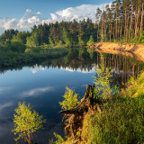 LEO_3105